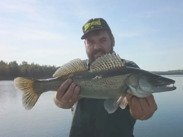Zander