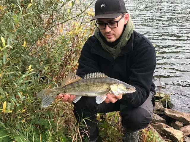 Zander