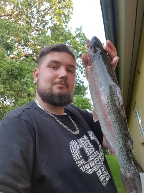 Regenbogenforelle
