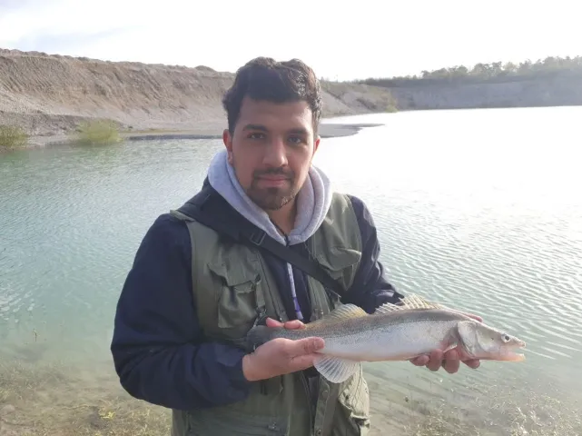 Zander