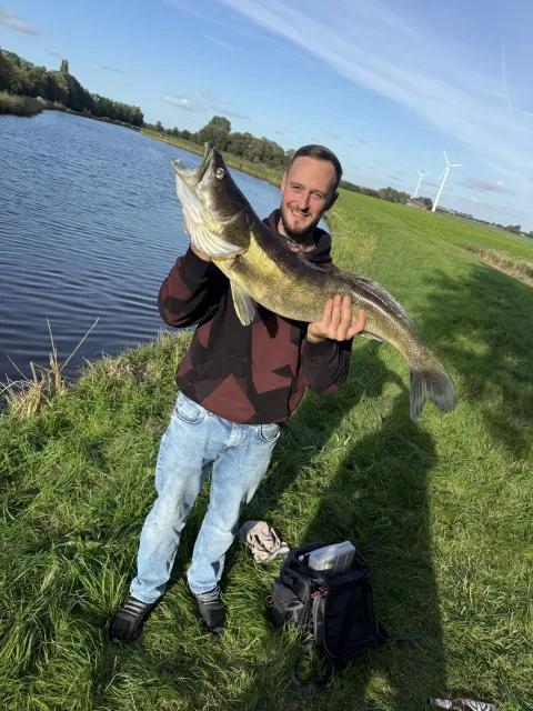 Zander