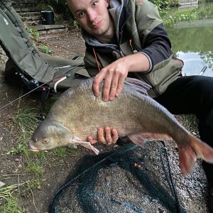 Profilbild