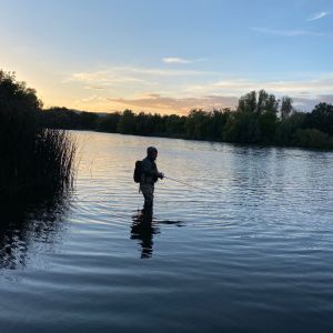 Profilbild