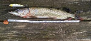 Maxgoesfishing