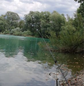bartelbatscher