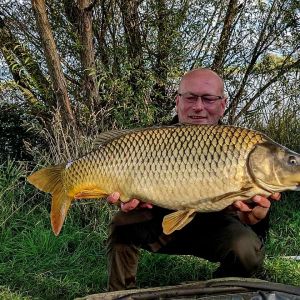 Profilbild