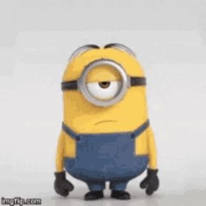 Minionfan 23