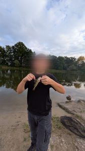 Profilbild