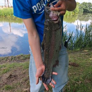 Profilbild