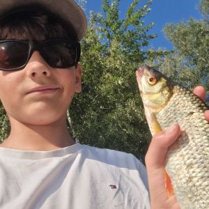 Profilbild