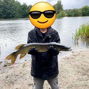 Profilbild