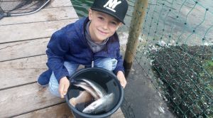 Profilbild