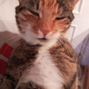 Profilbild