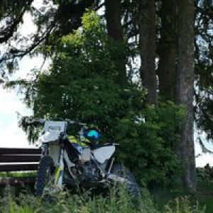 Profilbild