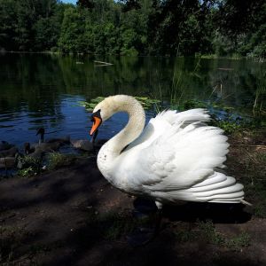 Profilbild