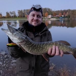 Profilbild