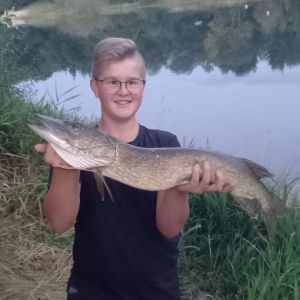 Profilbild