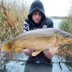 lx_carp