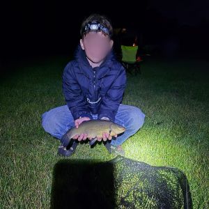 Profilbild