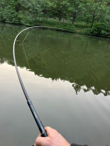 Raffaele Gambardella1