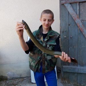 Profilbild