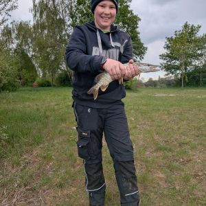 Profilbild