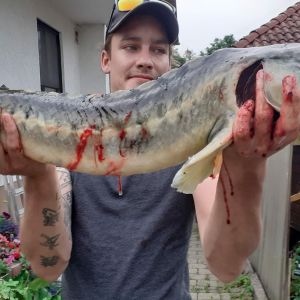 Profilbild
