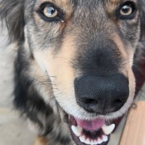 Profilbild