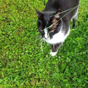 Profilbild