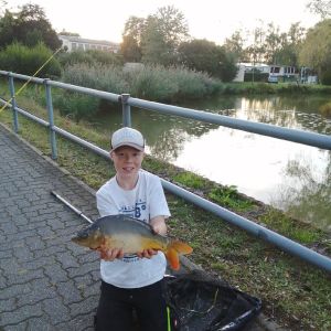 Profilbild