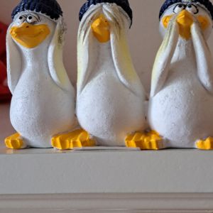 Profilbild