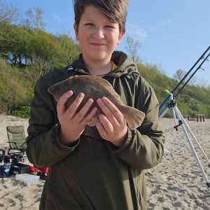 Profilbild