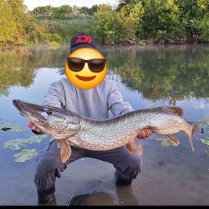 Profilbild