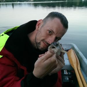 Profilbild
