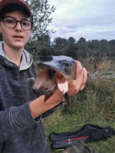 Profilbild