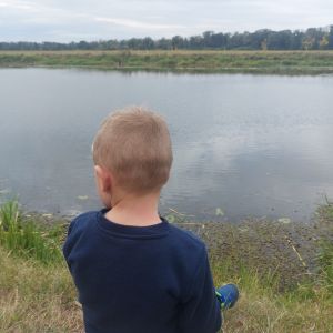 Profilbild