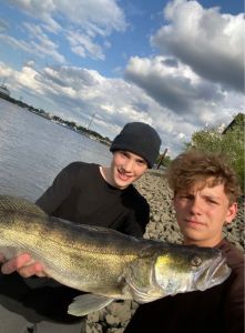 Profilbild