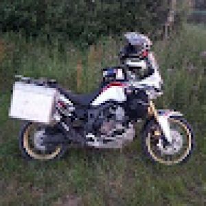 Profilbild