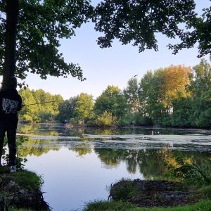 Profilbild