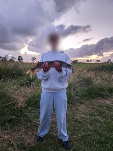 Profilbild