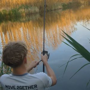 Profilbild
