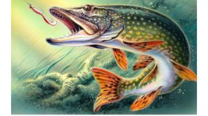 Mr. Pike89