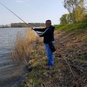 Profilbild