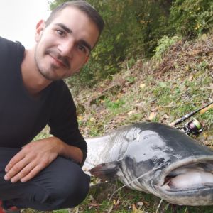 Profilbild