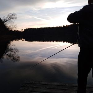 Profilbild