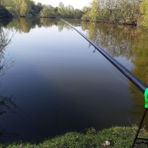 Jerome Alexander Motzkus