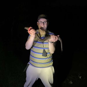 Profilbild