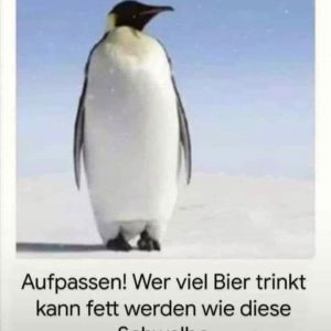 Stig