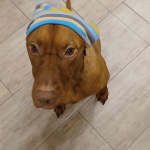 Profilbild