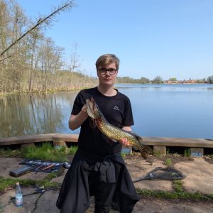 Profilbild